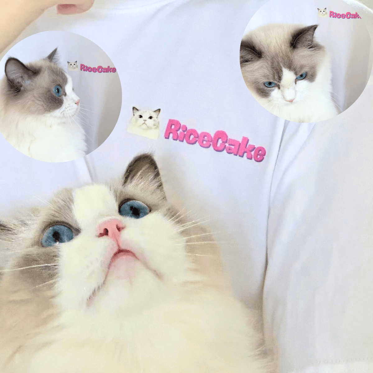 Pet+Name Logo T-Shirt