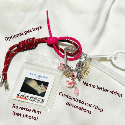 Customized Bag Chain - Pet Exclusive Customization